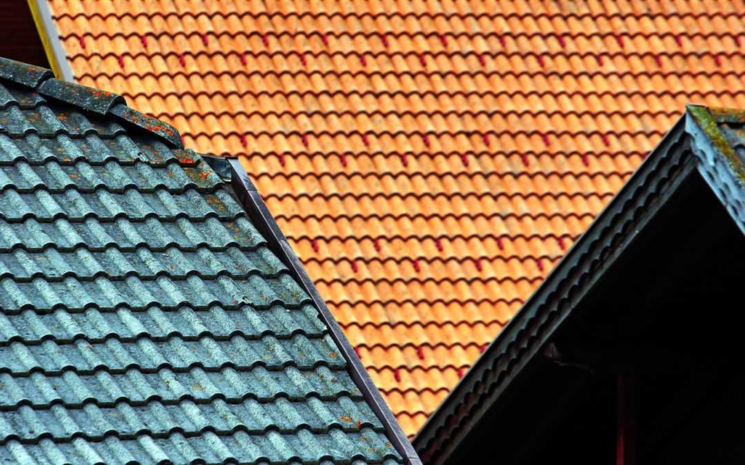 What Is the Best Time to Replace a Roof in Florida?